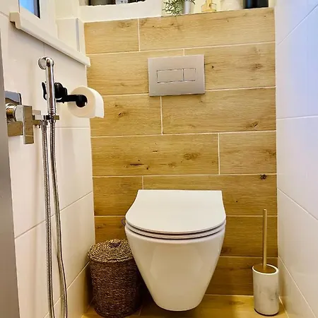 Myslbekova 16 Apartman Ostrava