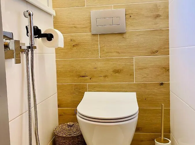 Myslbekova 16 Apartman Ostrava